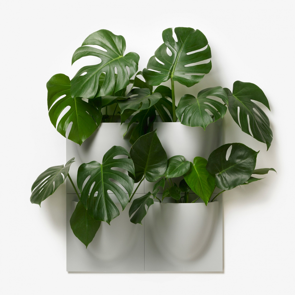 VertiPlants vægkrukke - grå - Billede 2