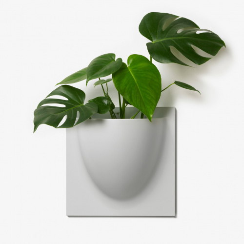 VertiPlants pot mural - gris