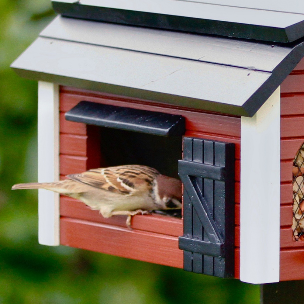 Wildlife Garden voederhuisje - rood - Afbeelding 3