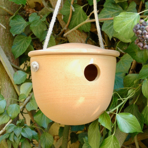 Denk vogelhuisje met touw