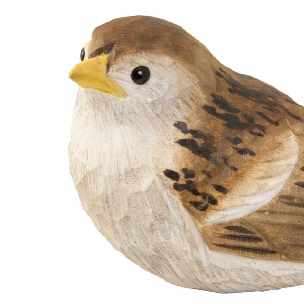 Oiseau en bois Wildlife Garden - jeune moineau domestique - Image 2