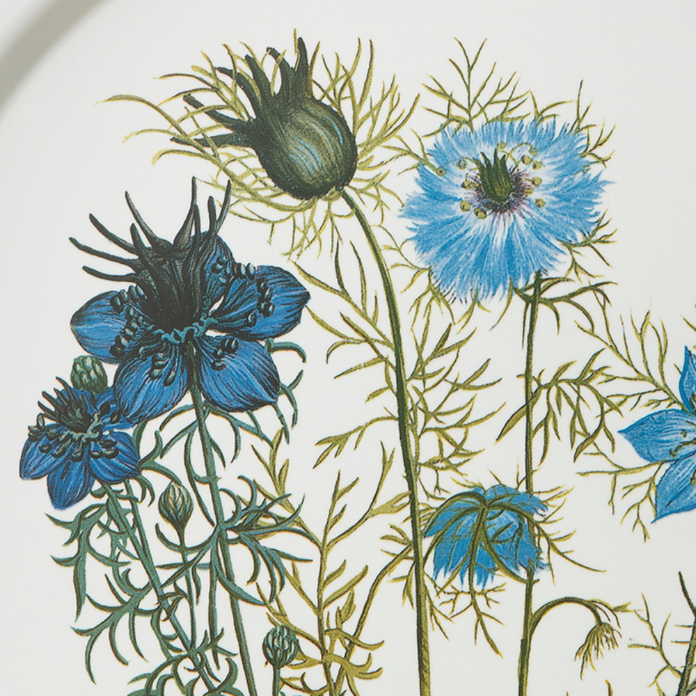 Plateau Koustrup & Co., Ø38 - nigelle de Damas - Image 2