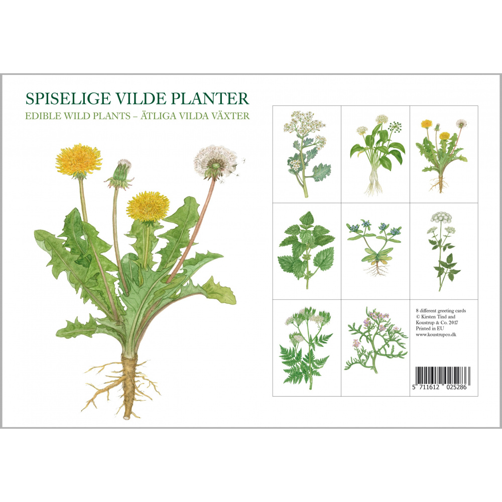 Koustrup & Co. kortmappe - spiselige vilde planter - Billede 3