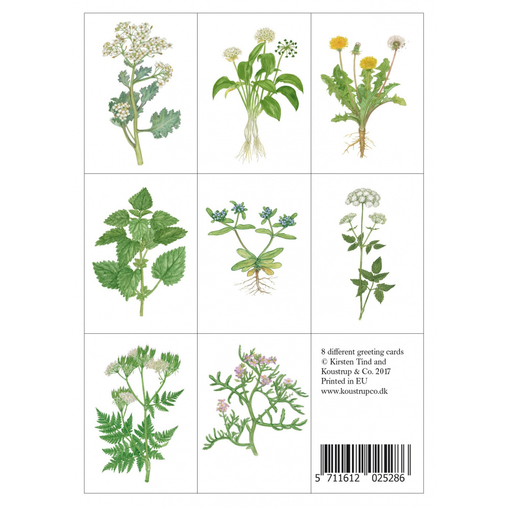 Pochette pour cartes Koustrup & Co. - plantes sauvages comestibles - Image 2