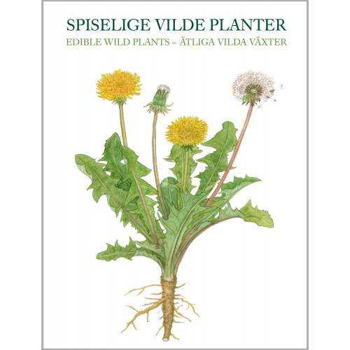 Koustrup & Co. Kartenmappe - essbare Wildpflanzen