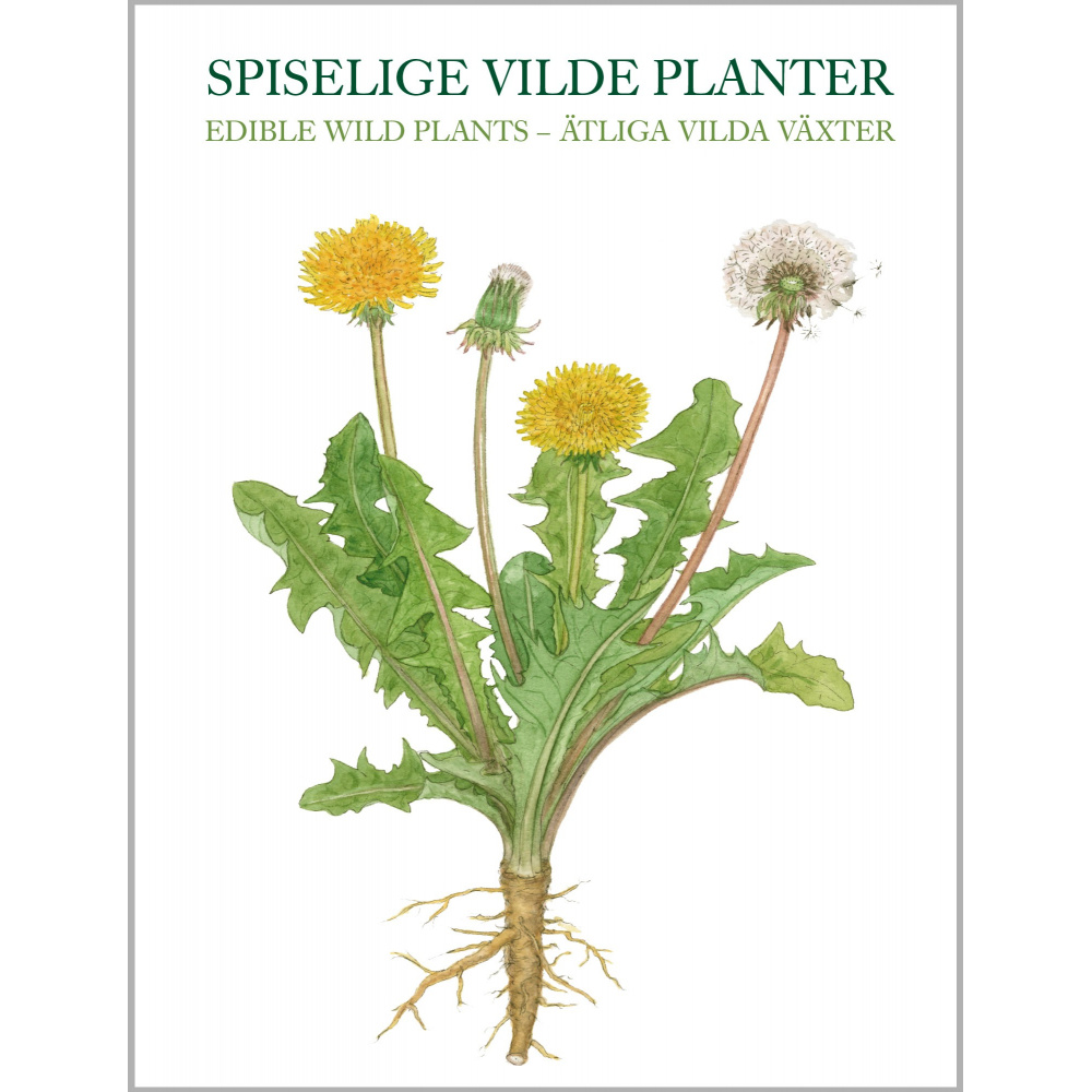 Koustrup & Co. kortmappe - spiselige vilde planter