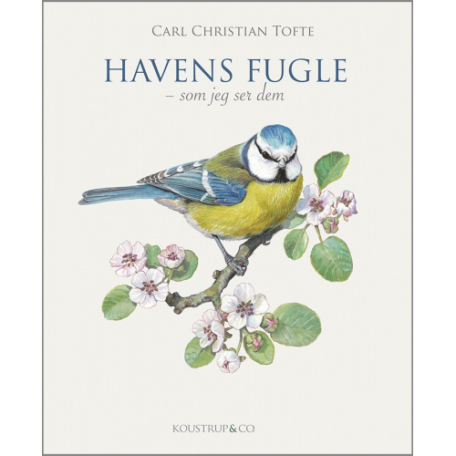 Die Vögel des Gartens - von Koustrup & Co.