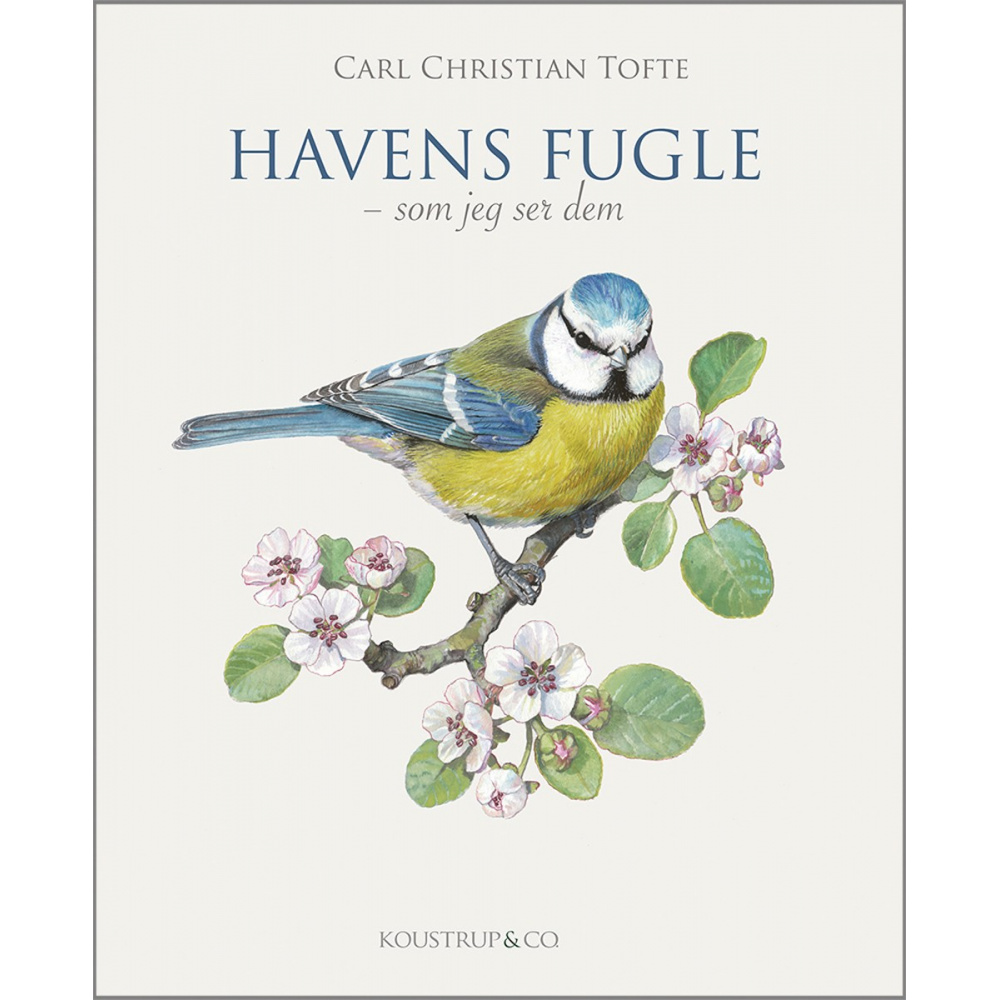 Trädgårdens fåglar - från Koustrup & Co.