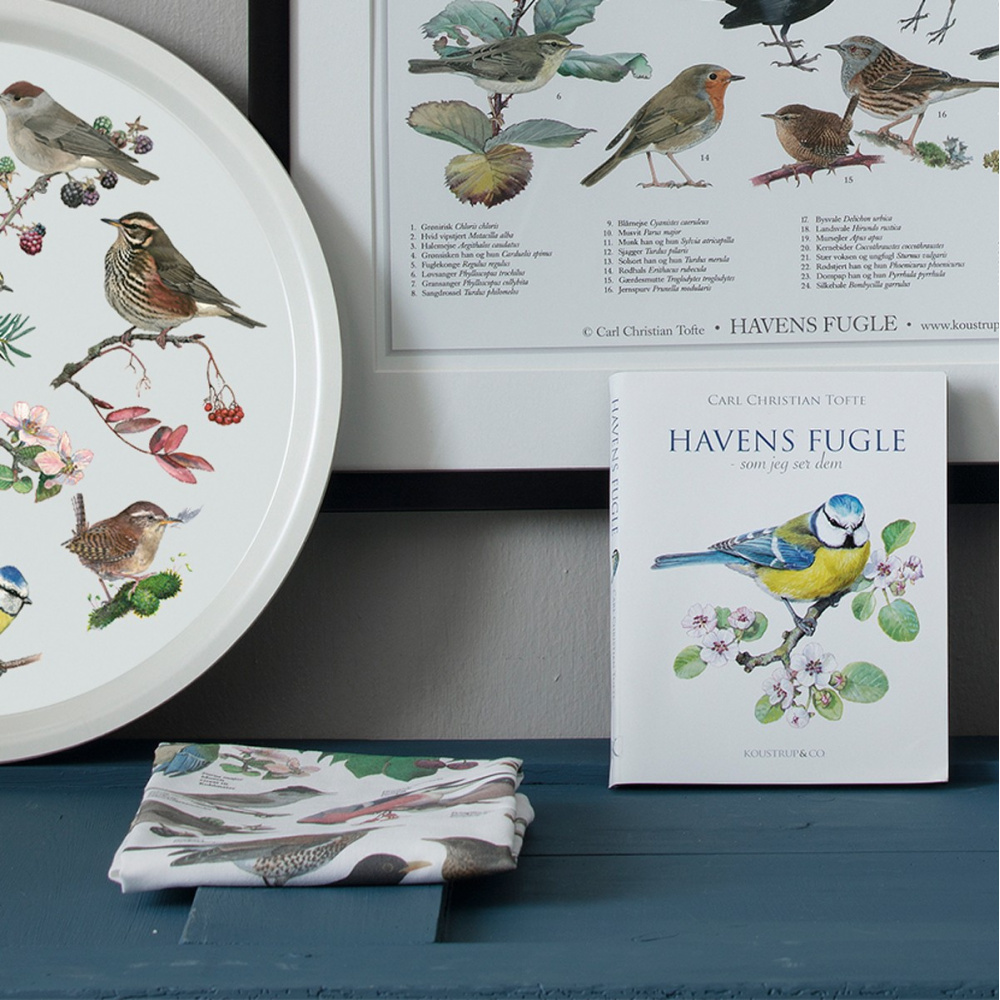 Gartenvögel - von Koustrup & Co. - Bild 2