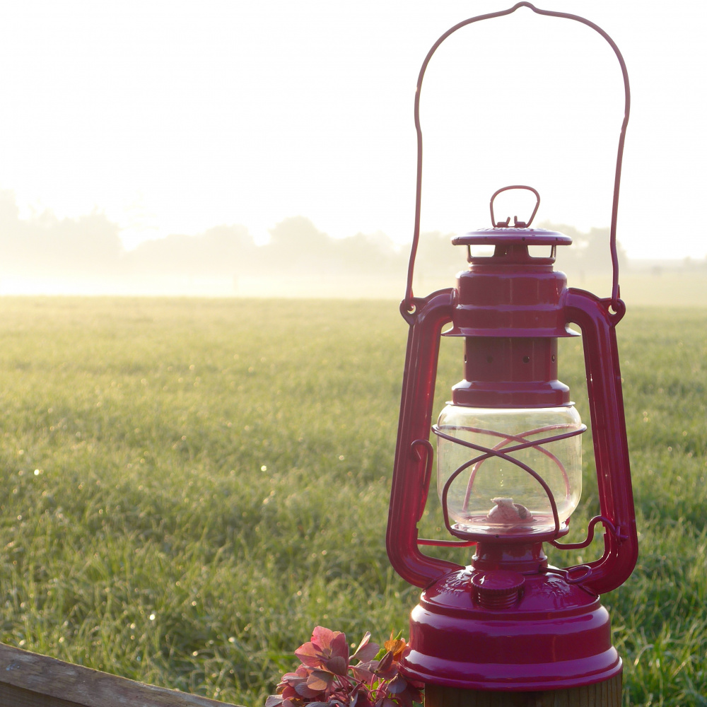 Lampe à pétrole Feuerhand - Magenta - Image 7