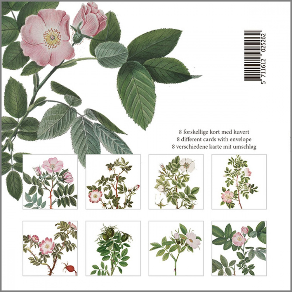 Pochette à cartes Flora Danica - rose sauvage - Image 2