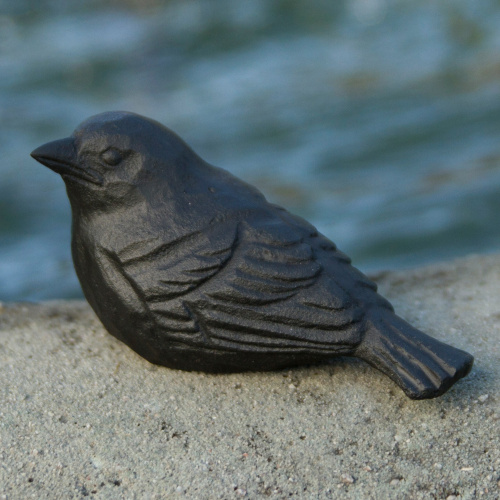 Wildlife Garden Gusseisenvogel - Spatzenjunges