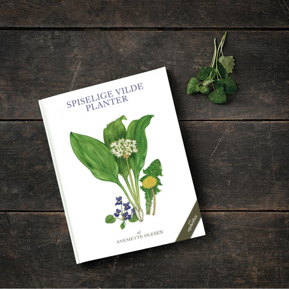 Les petits blancs de Koustrup — Plantes sauvages comestibles - Image 2