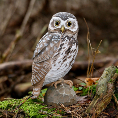 Wildlife Garden oiseau en bois - effraie des clochers