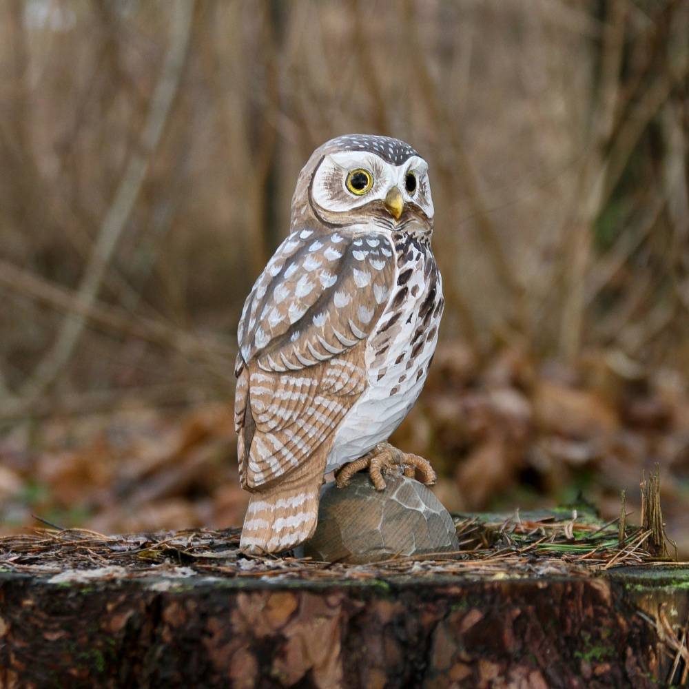 Wildlife Garden træfugl - kirkeugle - Billede 5