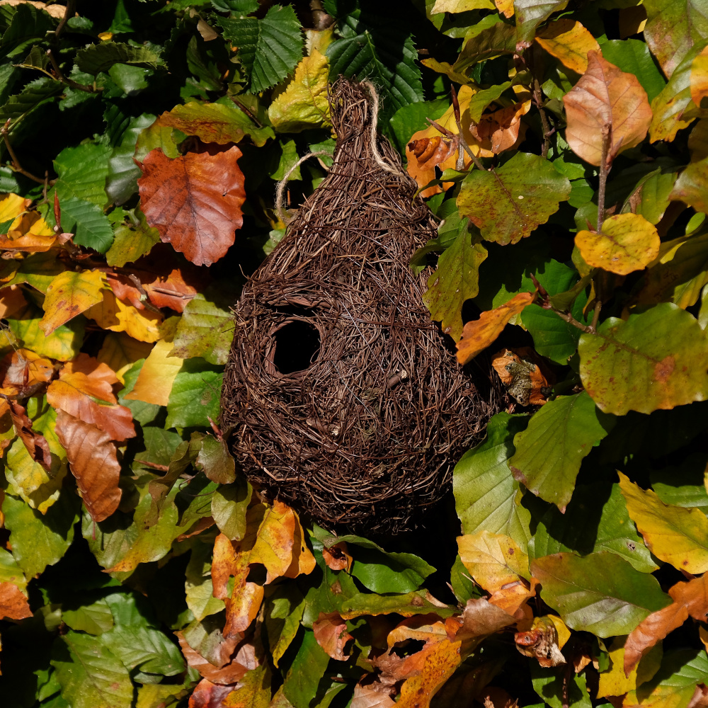 Wildlife World wicker nest box - Image 3