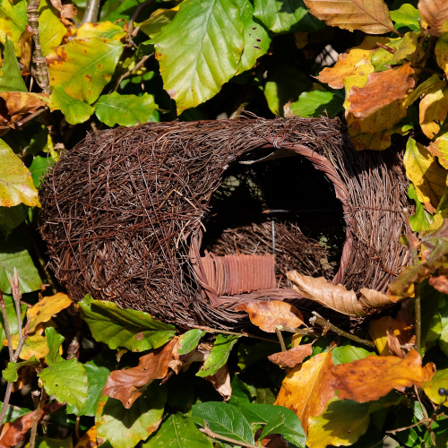 Wildlife World Vogelhaus für Rotkehlchen - Flechtwerk