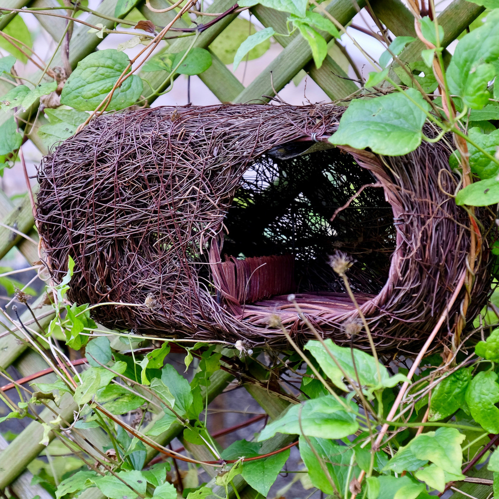 Wildlife World birdhouse for robins - wicker - Image 4