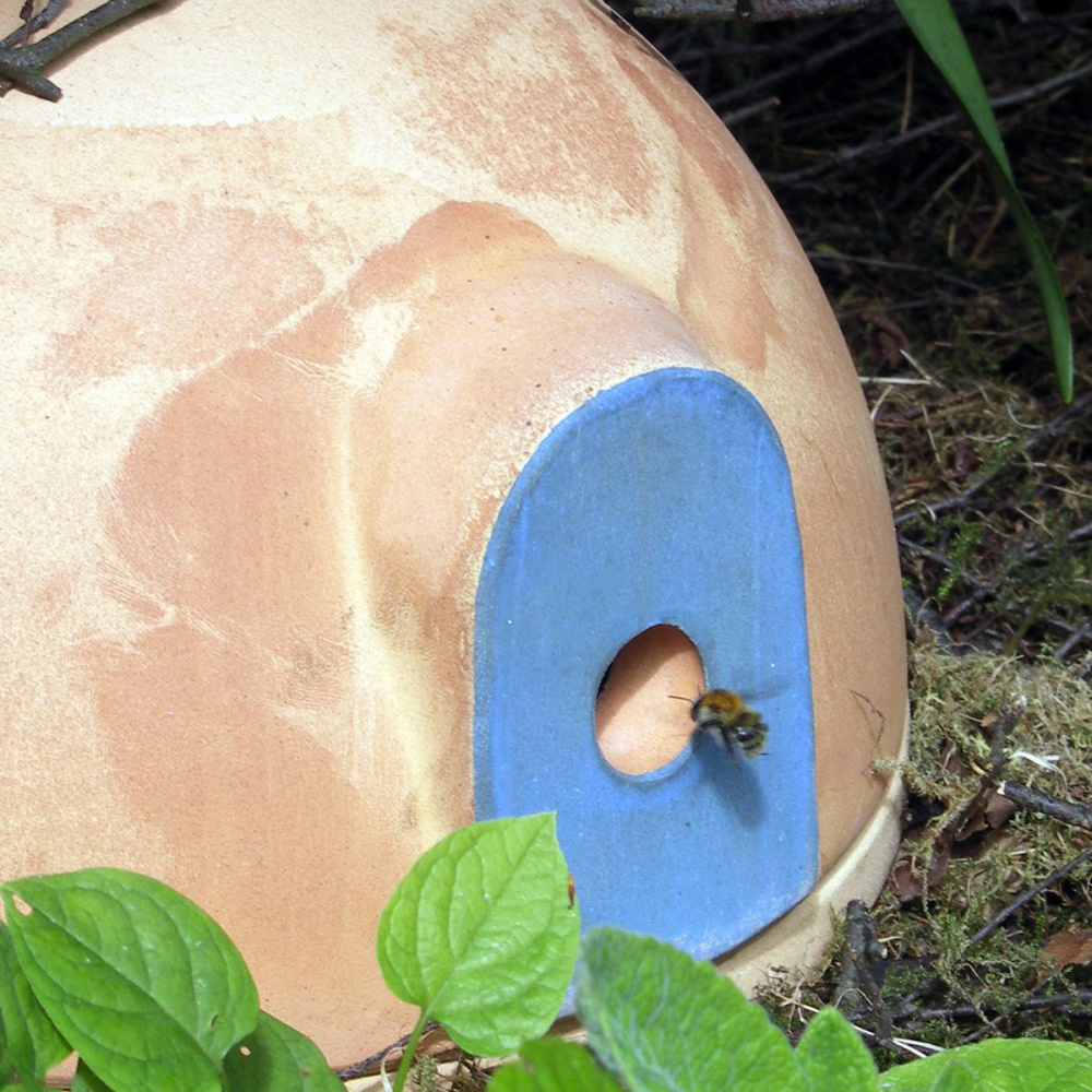 Denk bumblebee castle - Image 3