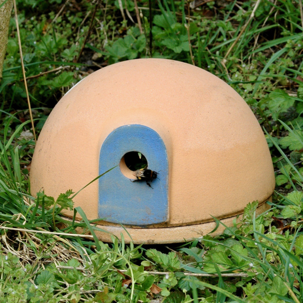 Denk humlebi slot - Billede 2