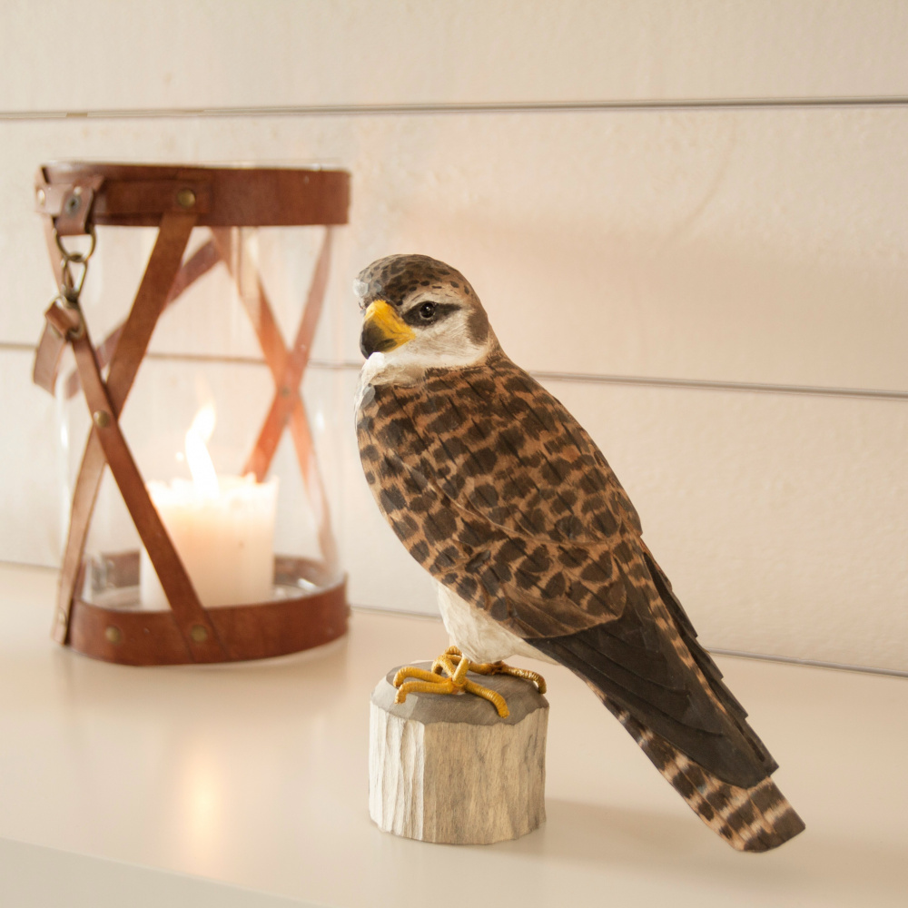Wildlife Garden træfugl - dværgfalk - Billede 2