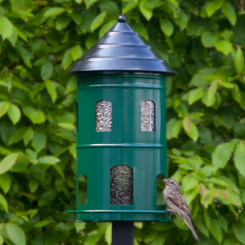 Wildlife Garden gigantischer Futterautomat - grün