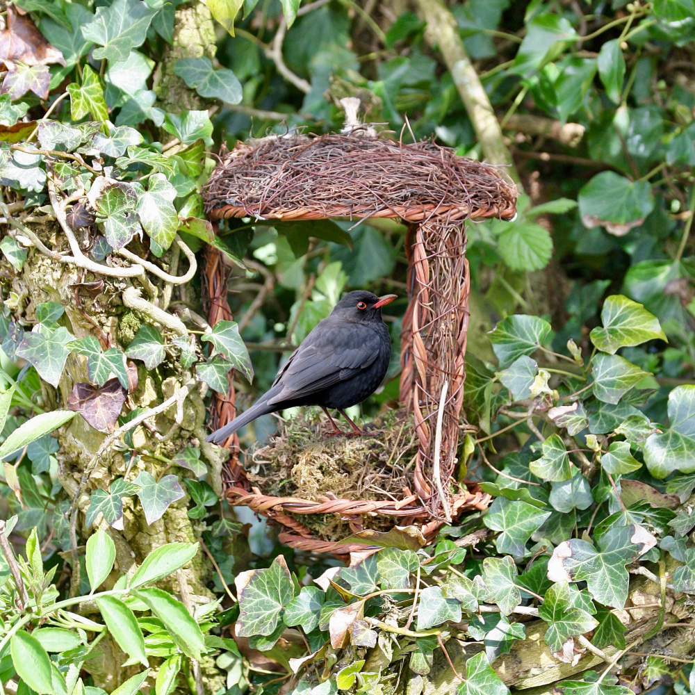 Wildlife World open vogelnest van vlechtwerk - Afbeelding 2