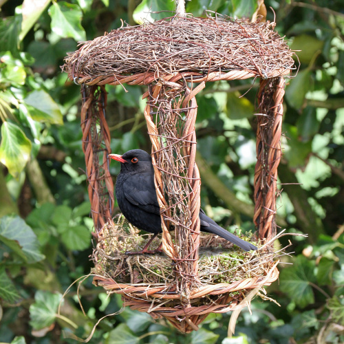 Wildlife World offenes Vogelnest aus Weidengeflecht
