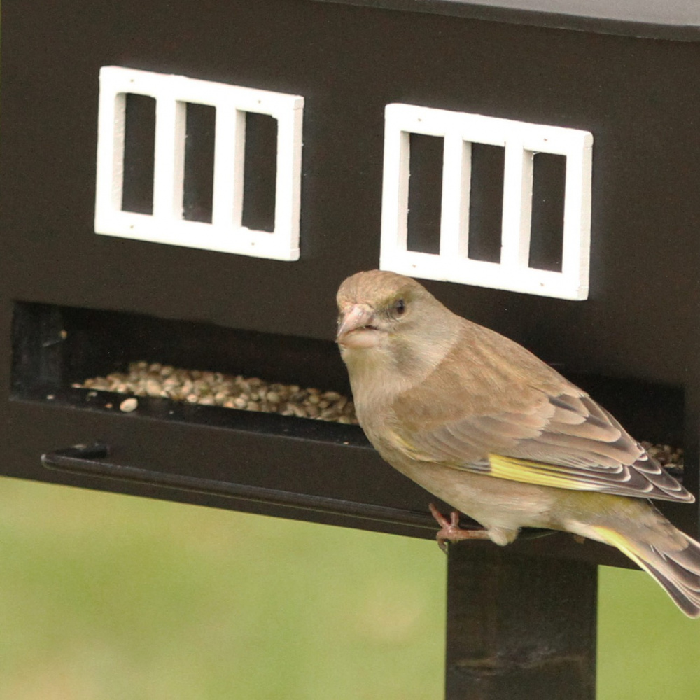 Wildlife Garden foderhus med fågelbad - svart - Bild 2