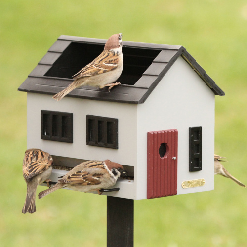 Wildlife Garden mangeoire avec bain pour oiseaux - gris