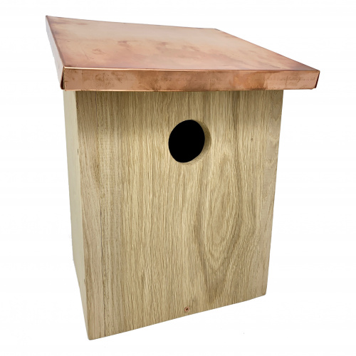Hercules Starling Box in Eiche mit Kupferdach