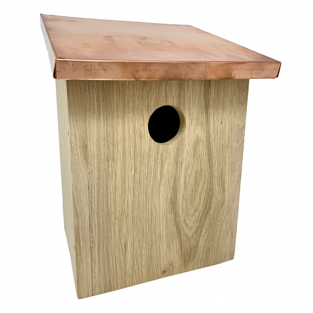 Hercules oak starling nest box with copper roof
