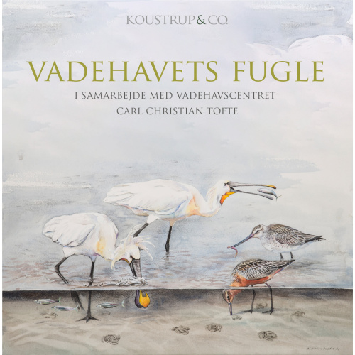 Koustrup & Co. Kartenmappe - Wattvögel