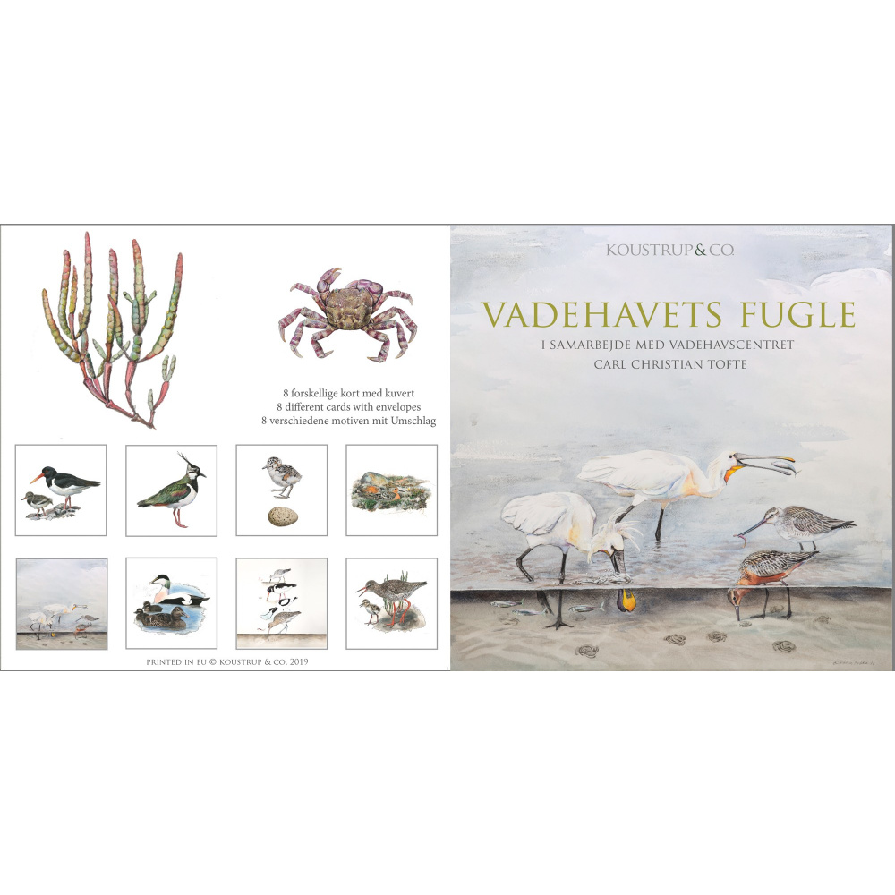 Koustrup & Co. pochette de cartes - oiseaux de la mer des Wadden - Image 3