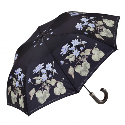 Koustrup & Co. foldeparaply med blå anemone