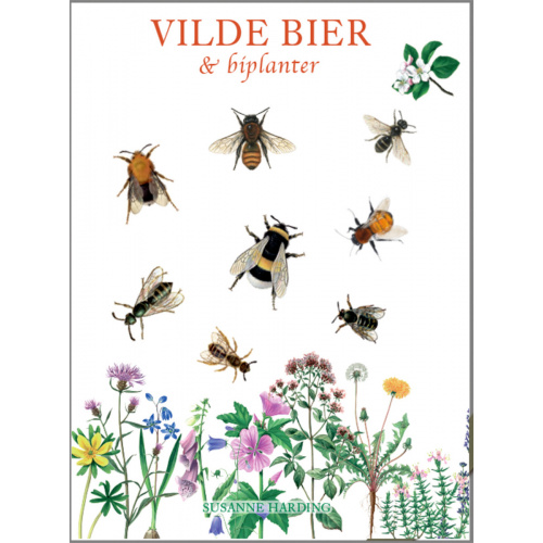 Koustrup's small whites - Wild bees