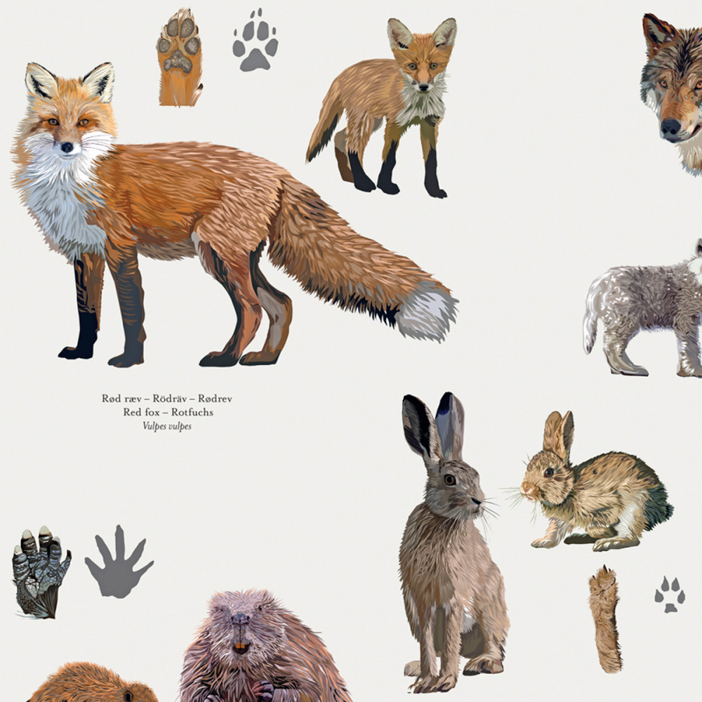 Koustrup poster - Noordse diersporen, A2 - Afbeelding 2