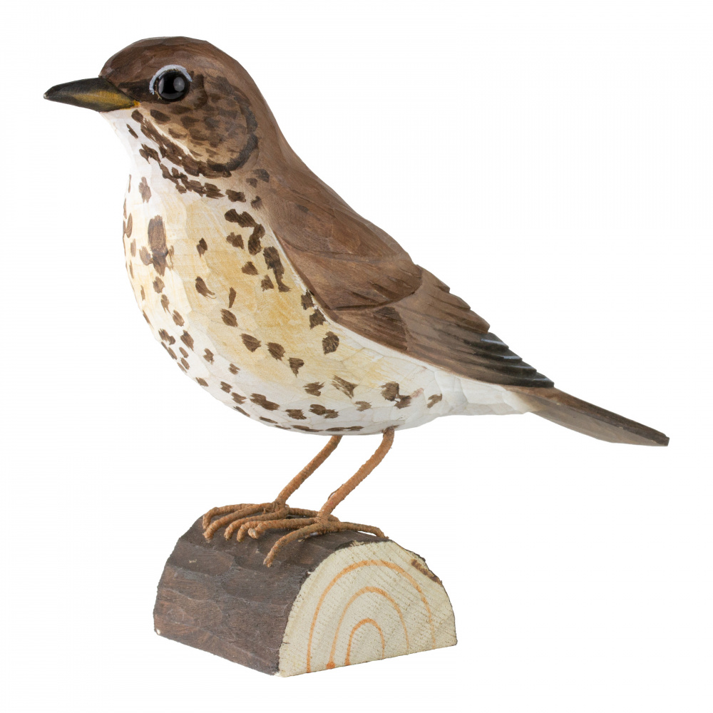 Oiseau en bois Wildlife Garden - grive musicienne - Image 2