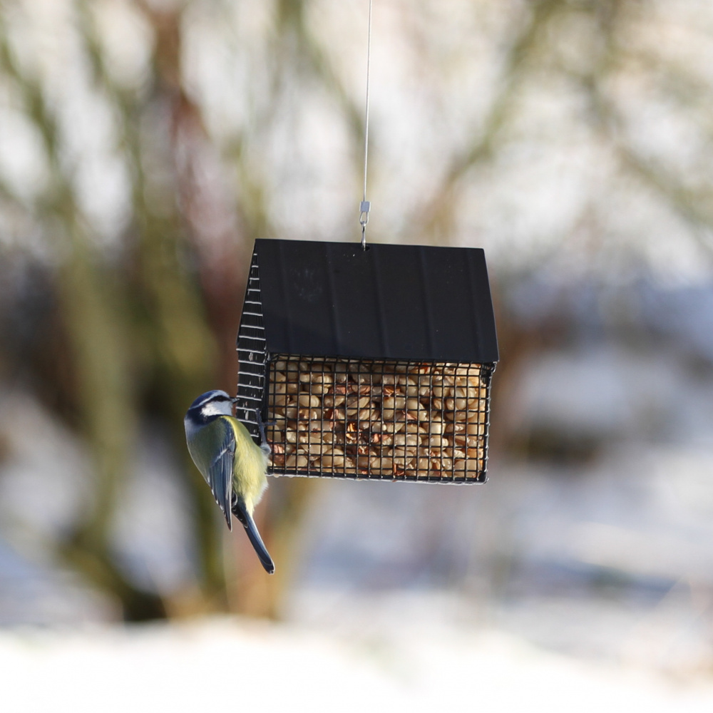 Wildlife Garden huis voor pinda's - zwart - Afbeelding 2