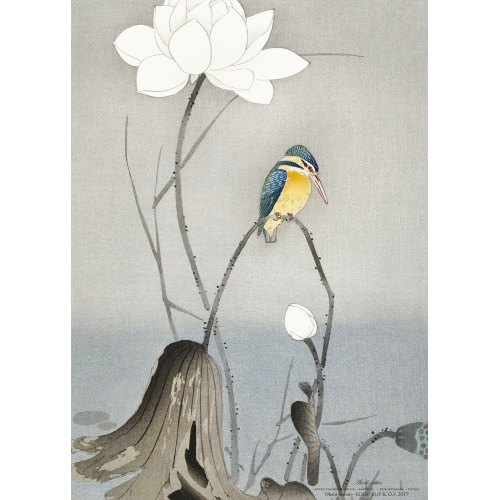 Koustrup & Co. kunstdruk met ijsvogel