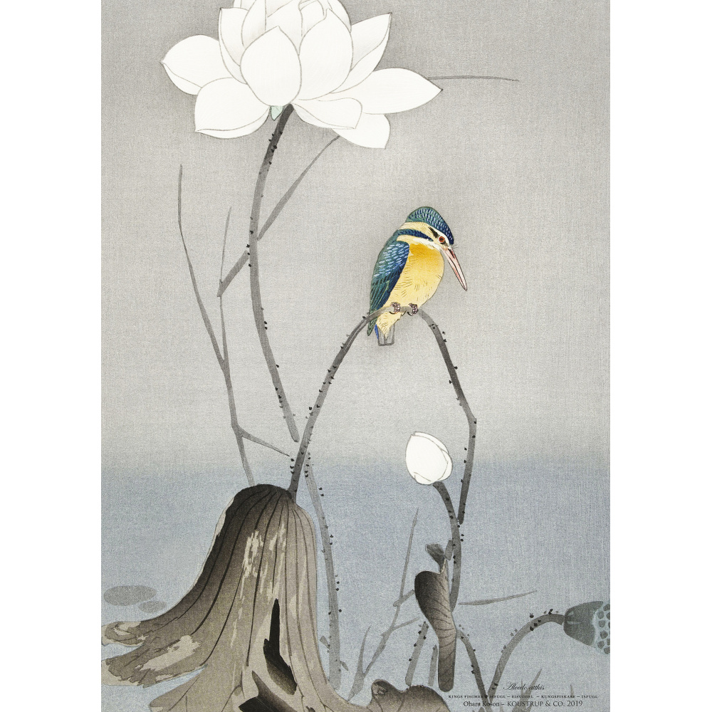 Koustrup & Co. kunstdruk met ijsvogel
