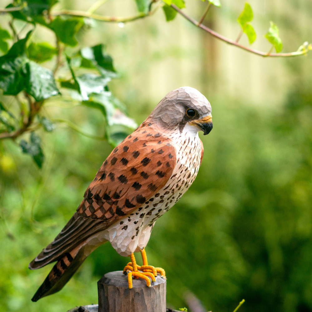 Wildlife Garden houten vogel - torenvalk - Afbeelding 2
