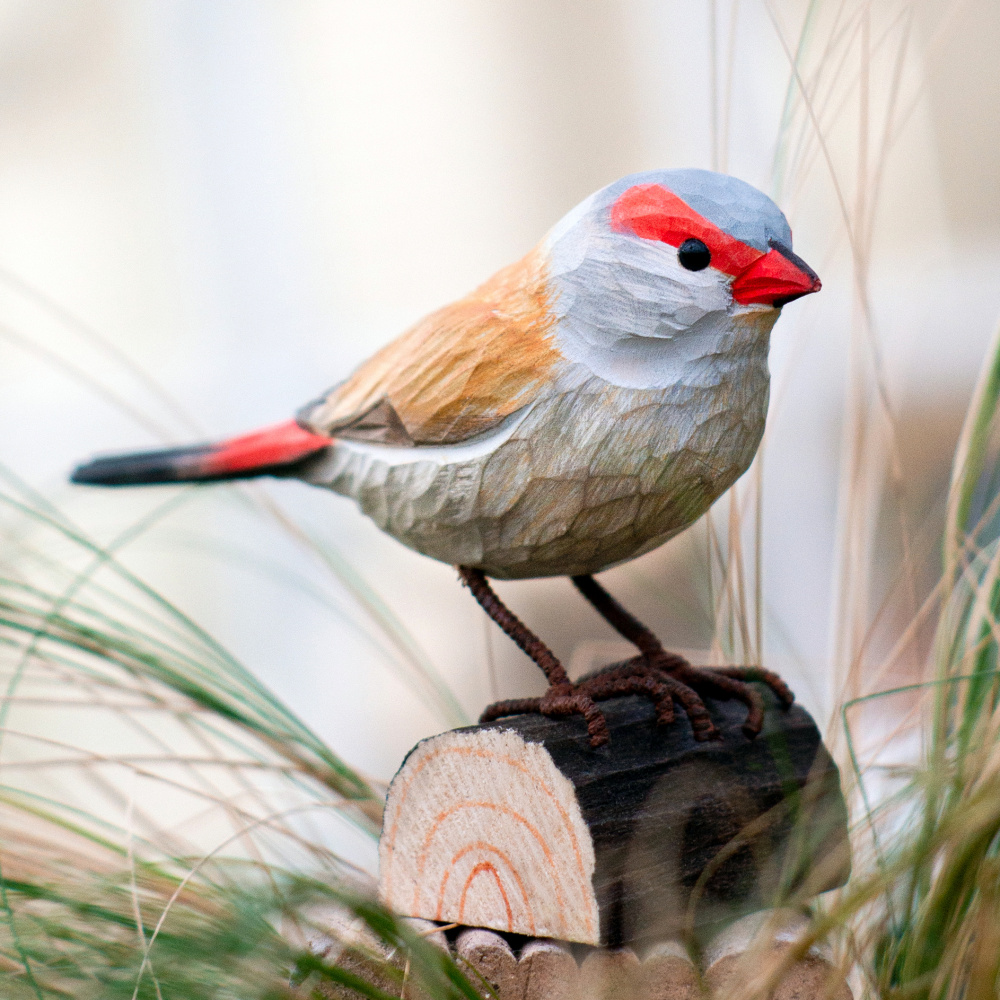Wildlife Garden oiseau en bois - Astrild ondulé - Image 2