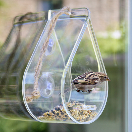 Wildlife World foderbräda för fönster och upphängning