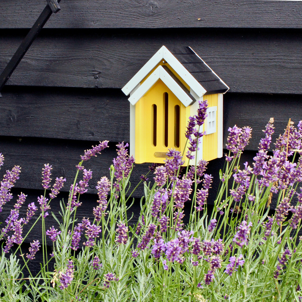 Wildlife Garden Schmetterlingsnest - gelb - Bild 2