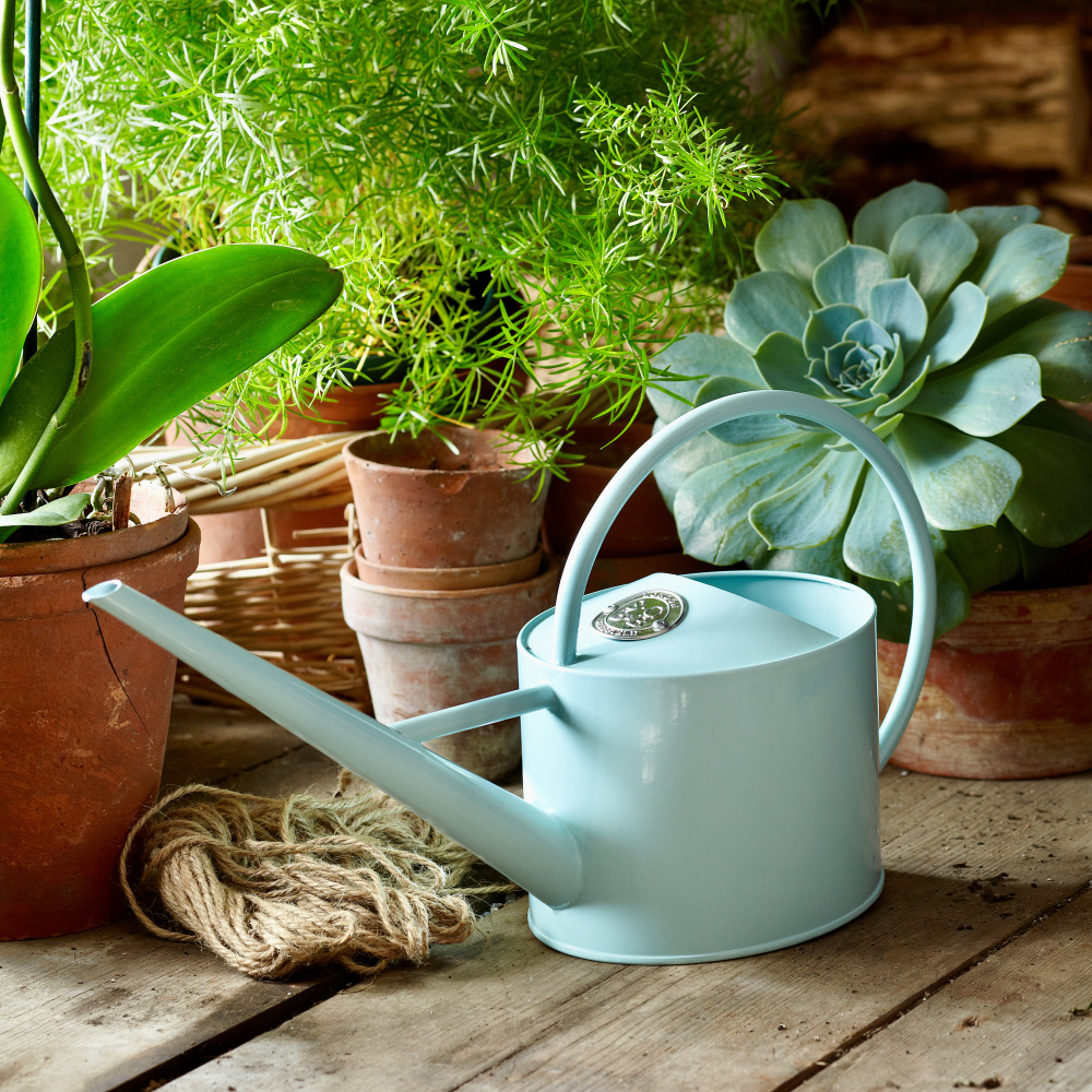 Arrosoir Sophie Conran 1,7 L - Bleu clair - Image 2