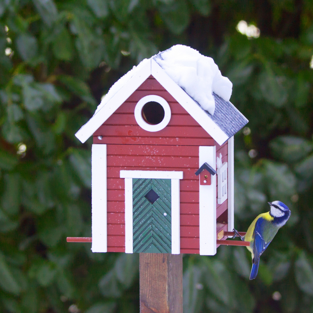 Wildlife Garden birdhouse/bird feeder - red - Image 4