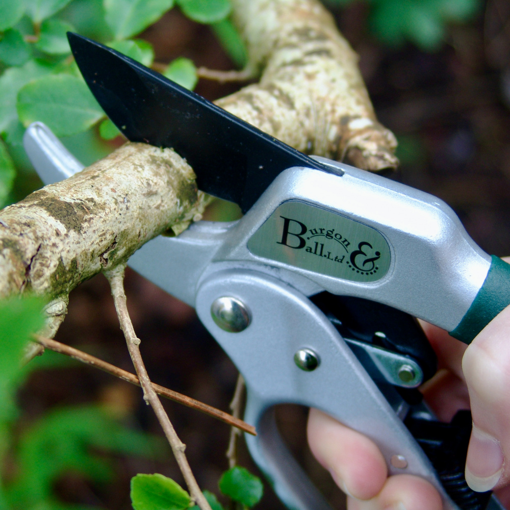 Burgon & Ball pruning shears with exchange - Image 3