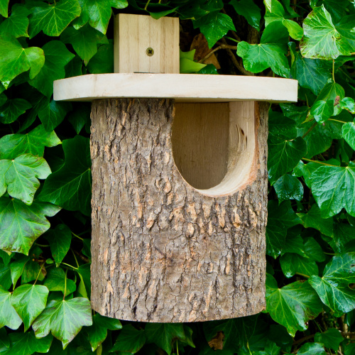 Wildlife World Log Vogelhaus - Redneck