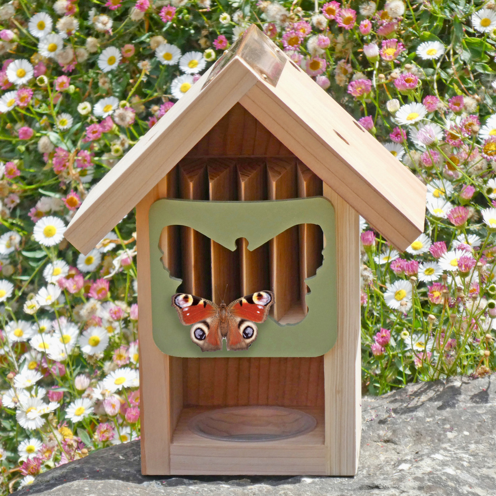 Wildlife World maison des papillons - Image 2